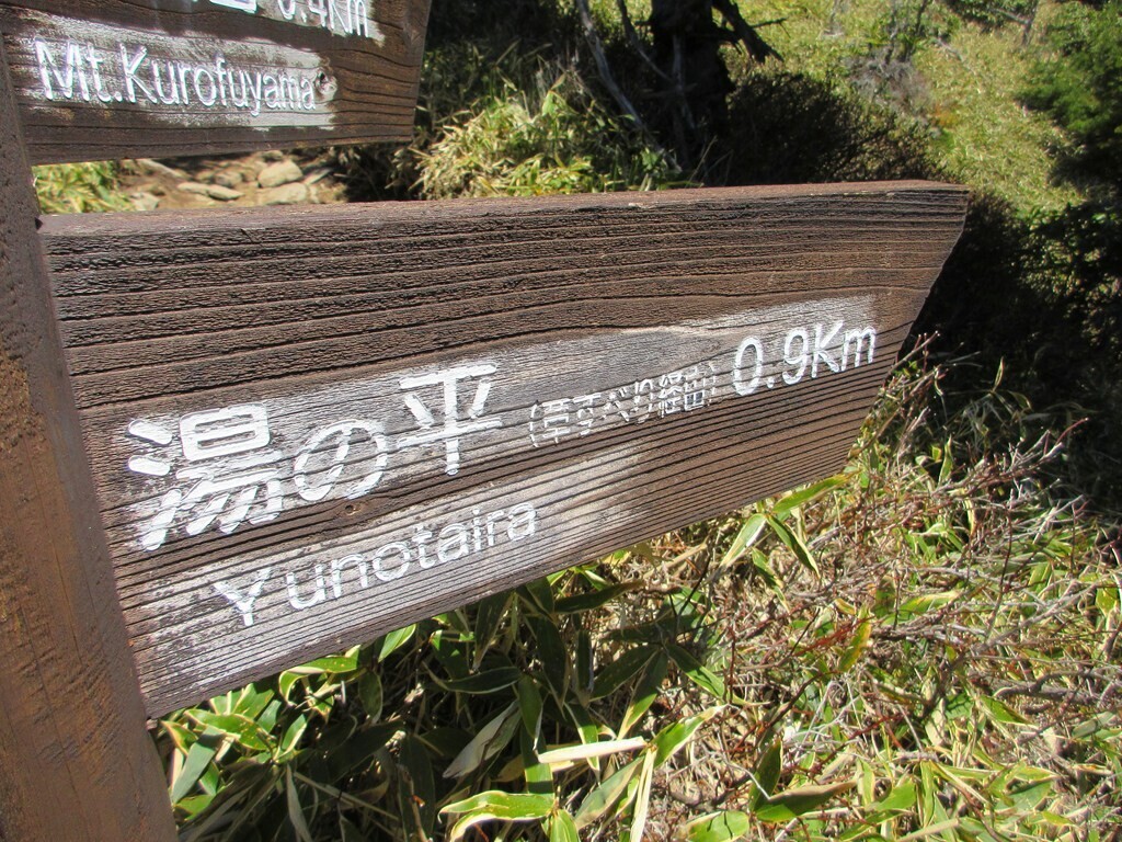 浅間山草すべりから湯の平を目指して登山再開