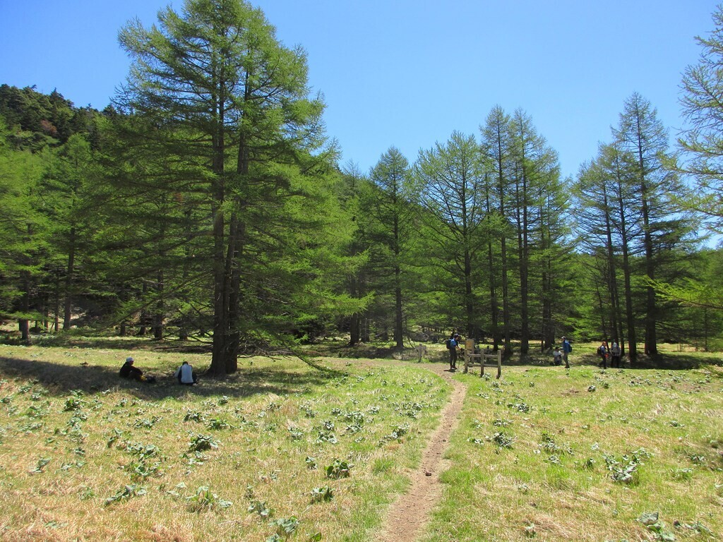 湯の平と草すべりの分岐近くの景色