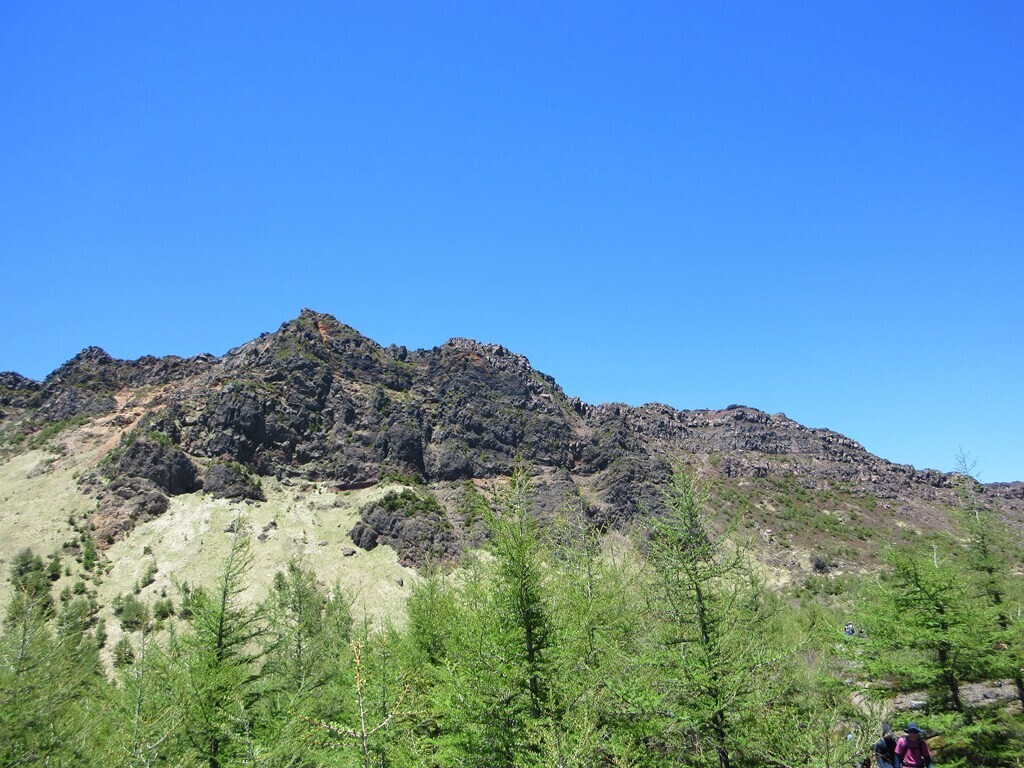 黒斑山方面の景色を見上げている様子