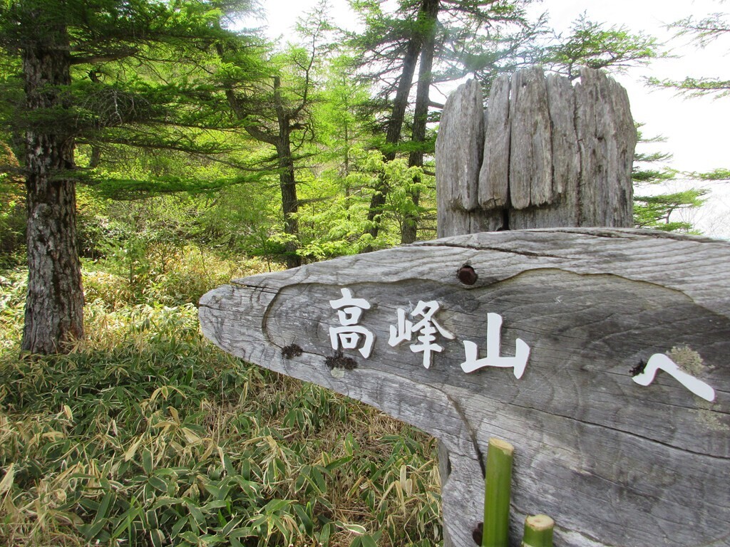 高峯山へ登山再開の様子