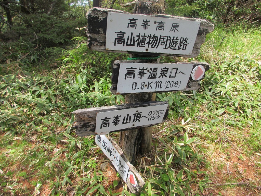 高峯山の山頂と車坂峠への分岐地点が粒ヶ平