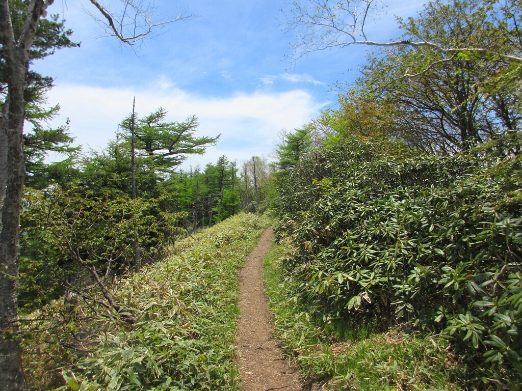 高峯山の登山ルート詳細