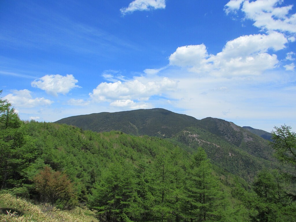 高峯山からの黒斑山の景色