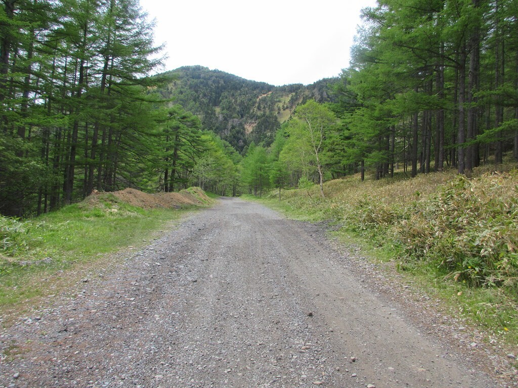 湯の丸高峰林道は高峰温泉から池の平駐車場まで約3kmの道のり、路面の様子