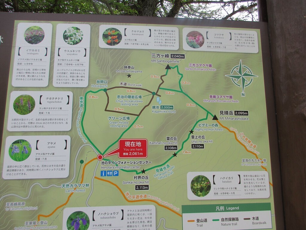 池の平湿原の駐車場、インフォメーションセンター付近の様子