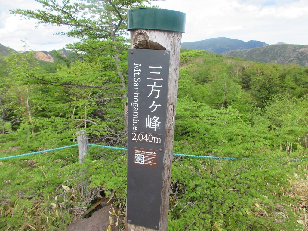 池の平湿原のコマクサの名所三方ヶ峰山頂と標高