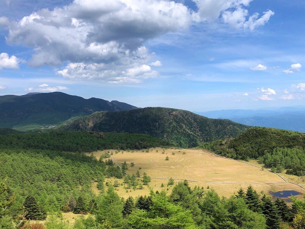 池の平湿原