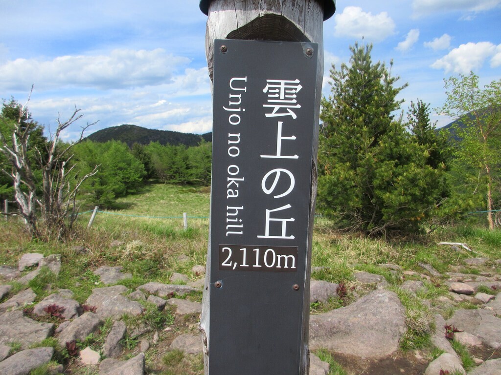 池の平湿原の雲上の丘山頂と標高