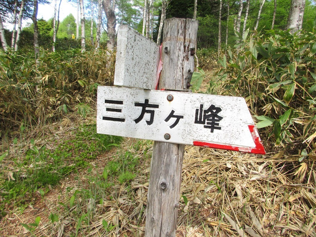 三方見晴遊歩道と池の平遊歩道との分岐地点