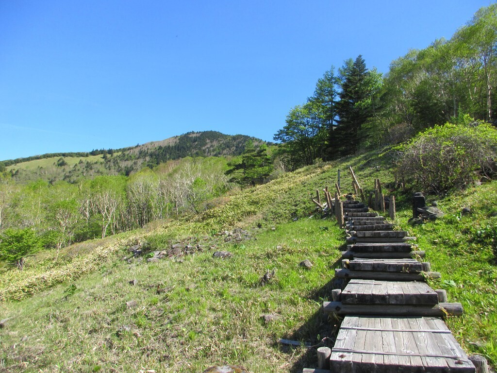 解放感ある四阿山への登山道の様子