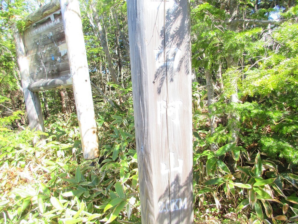 四阿山登山道の古永井分岐