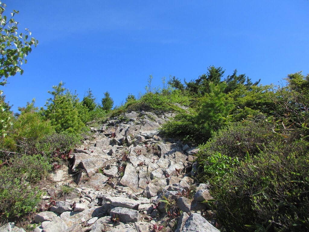 四阿山山頂までの登山ルート核心部