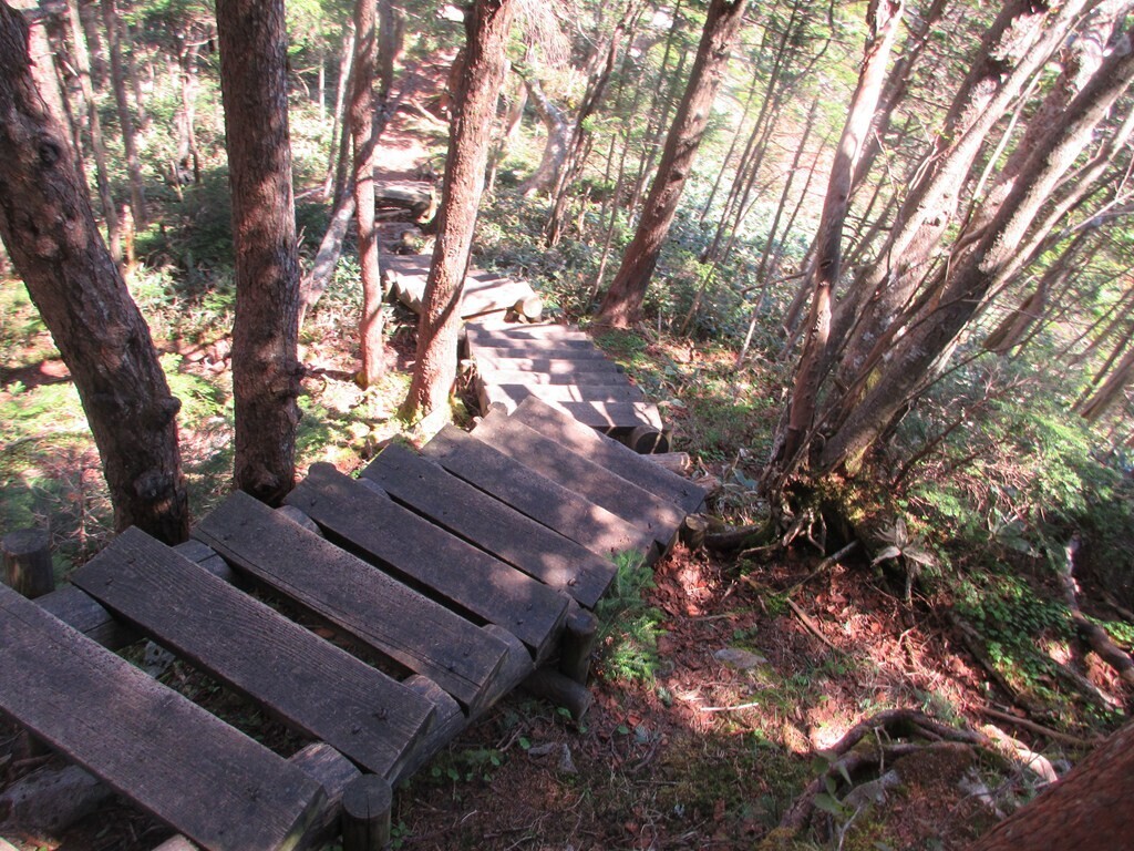 四阿山登山道の階段