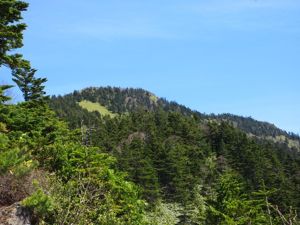四阿山の山頂を遠望