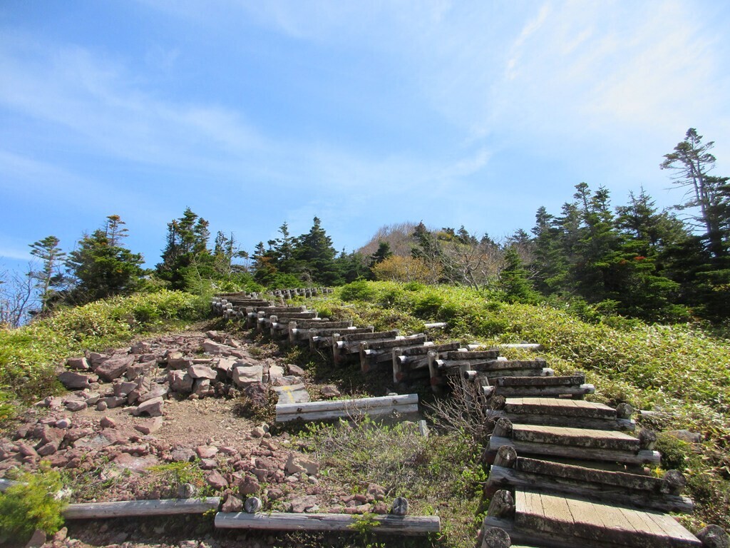 根子岳への分岐から四阿山山頂までの階段の様子