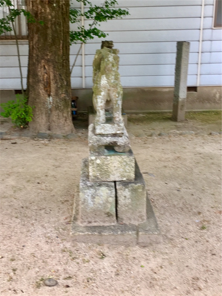 f:id:aoi-hanayama:20170507111248j:image f:id:aoi-hanayama:20170507111248j:image