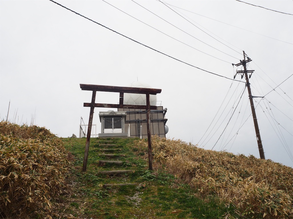 f:id:aoi-hanayama:20180430195429j:image f:id:aoi-hanayama:20180430195429j:image