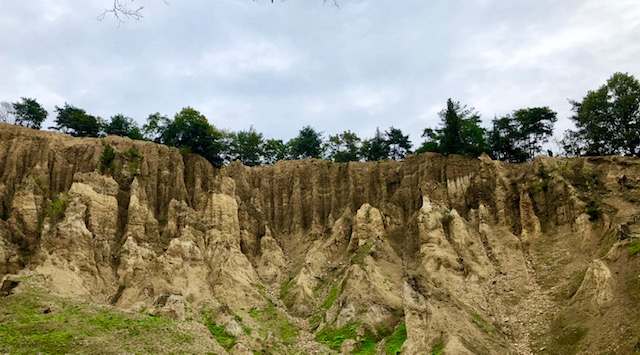 f:id:aoi-hanayama:20191110152609j:plain