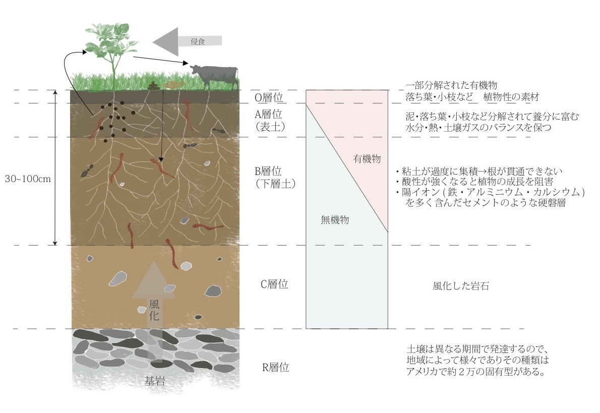 土壌構成, 土壌の構成要素 – WCNOO