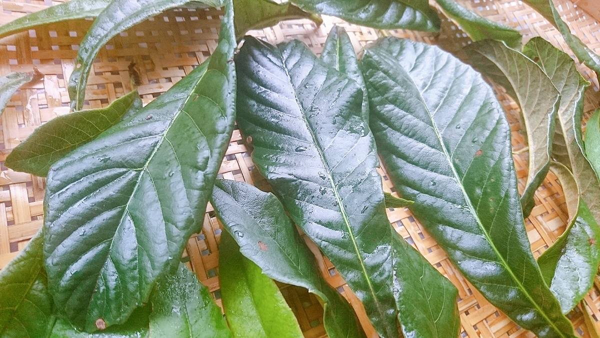 f:id:aoi-tibet:20191013202208j:plain