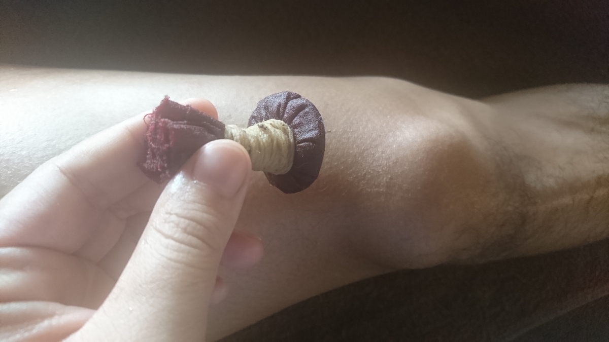 f:id:aoi-tibet:20191013202811j:plain