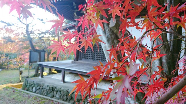 f:id:aoi-tibet:20191212175414j:image