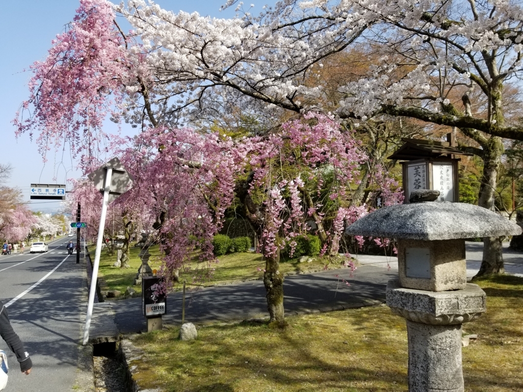 f:id:aoi0730kanon0930:20180331235420j:plain f:id:aoi0730kanon0930:20180331235420j:plain