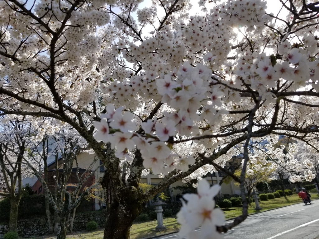 f:id:aoi0730kanon0930:20180331235444j:plain f:id:aoi0730kanon0930:20180331235444j:plain