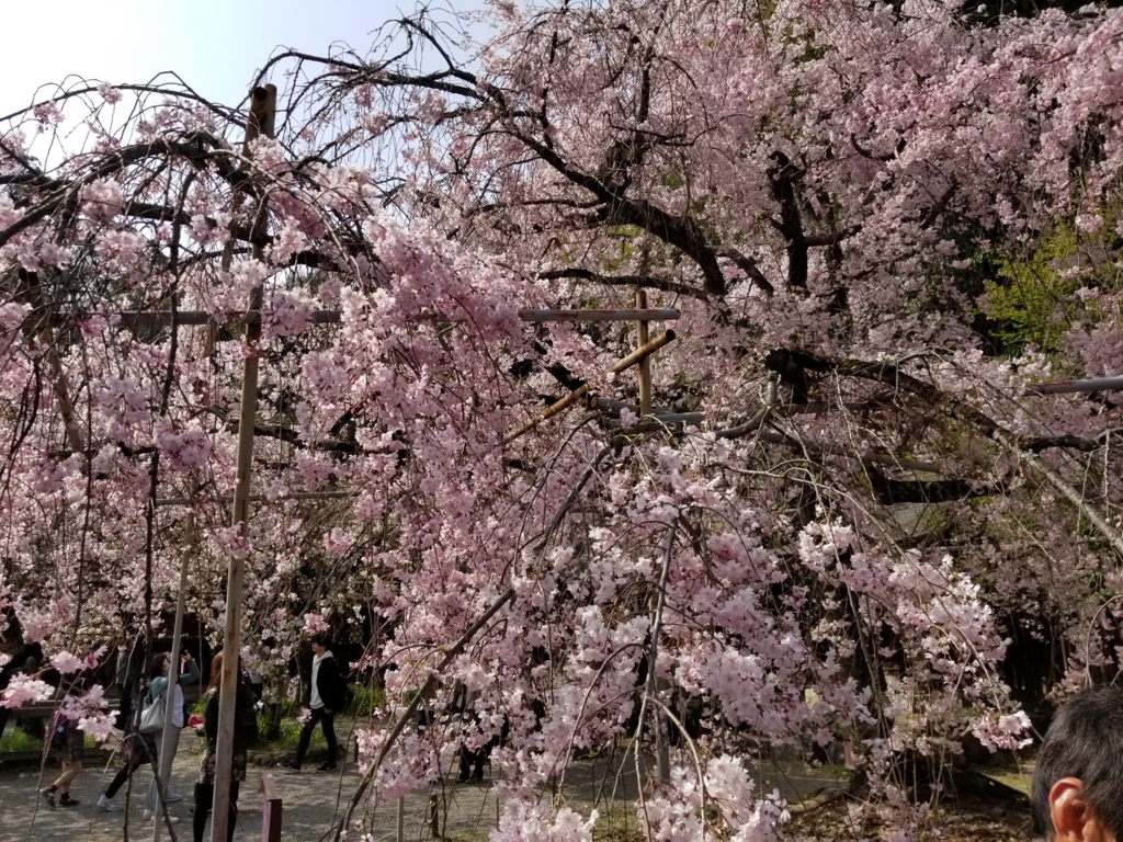 f:id:aoi0730kanon0930:20180401225300j:plain f:id:aoi0730kanon0930:20180401225300j:plain