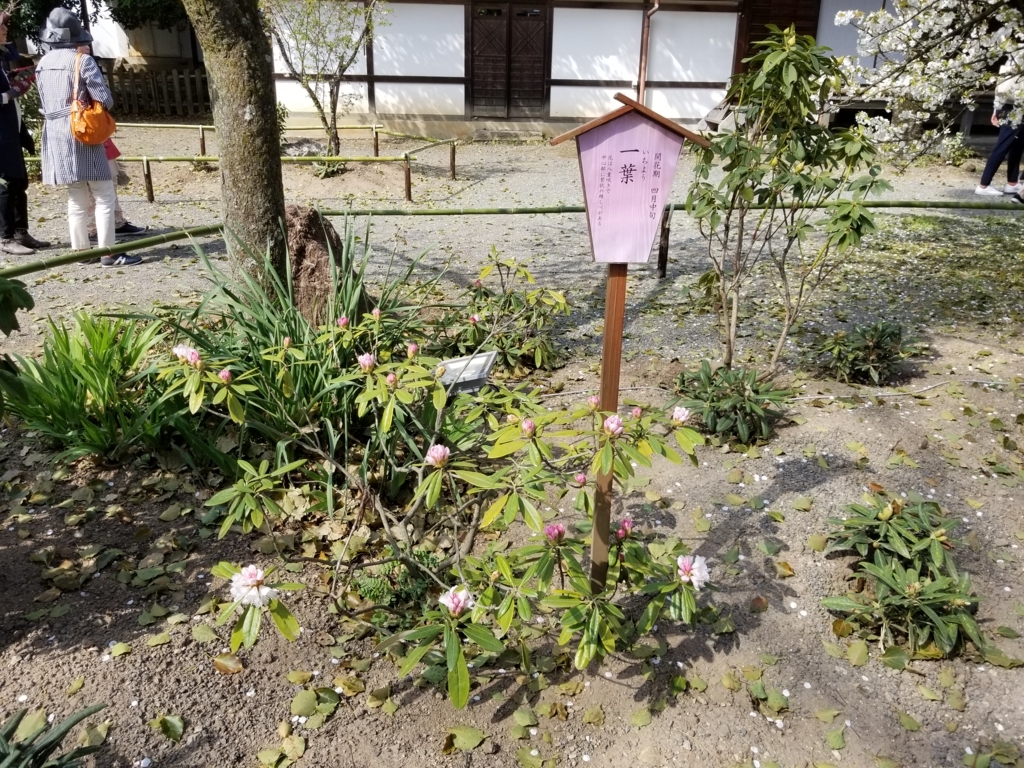 f:id:aoi0730kanon0930:20180401233944j:plain f:id:aoi0730kanon0930:20180401233944j:plain