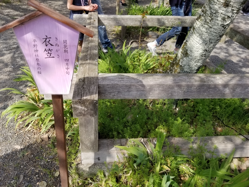 f:id:aoi0730kanon0930:20180401233950j:plain f:id:aoi0730kanon0930:20180401233950j:plain