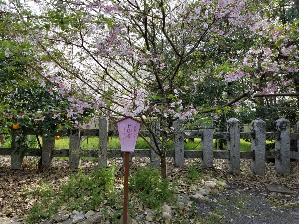f:id:aoi0730kanon0930:20180401233953j:plain f:id:aoi0730kanon0930:20180401233953j:plain