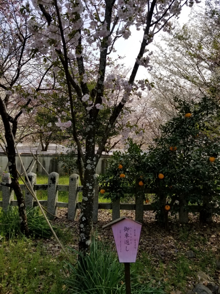 f:id:aoi0730kanon0930:20180401233956j:plain f:id:aoi0730kanon0930:20180401233956j:plain