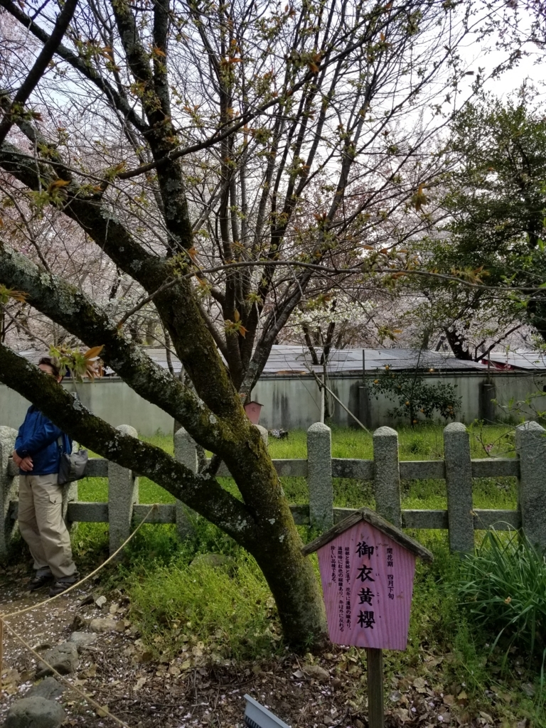 f:id:aoi0730kanon0930:20180401233958j:plain f:id:aoi0730kanon0930:20180401233958j:plain