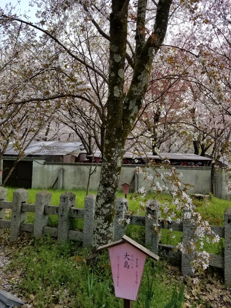 f:id:aoi0730kanon0930:20180401234004j:plain f:id:aoi0730kanon0930:20180401234004j:plain