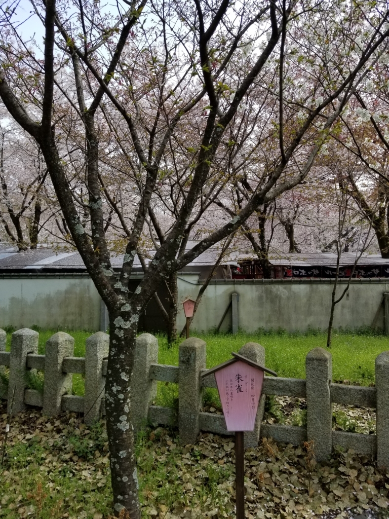 f:id:aoi0730kanon0930:20180401234009j:plain f:id:aoi0730kanon0930:20180401234009j:plain