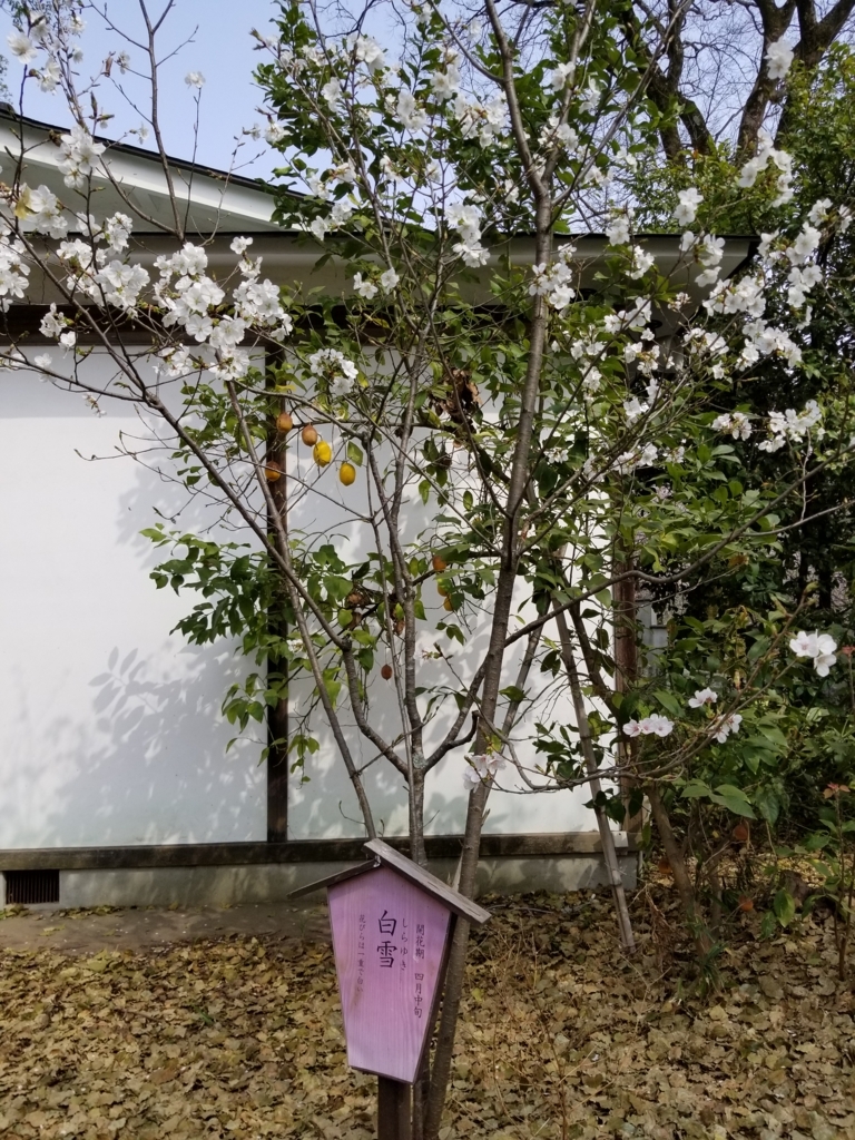 f:id:aoi0730kanon0930:20180401234011j:plain f:id:aoi0730kanon0930:20180401234011j:plain