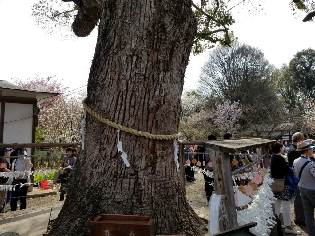 f:id:aoi0730kanon0930:20180401234436j:plain f:id:aoi0730kanon0930:20180401234436j:plain