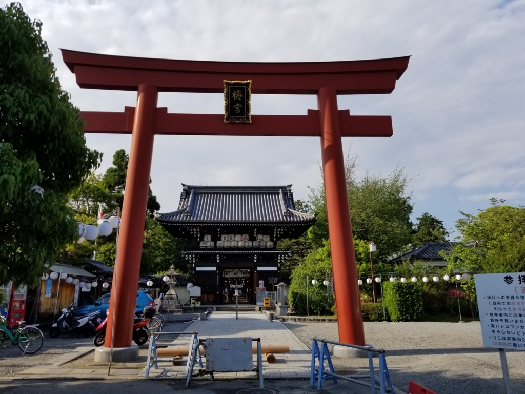 大社 梅宮