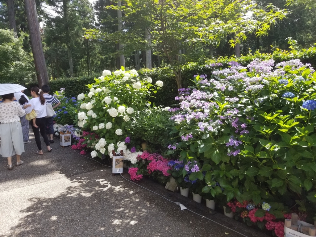 f:id:aoi0730kanon0930:20180617000849j:plain f:id:aoi0730kanon0930:20180617000849j:plain