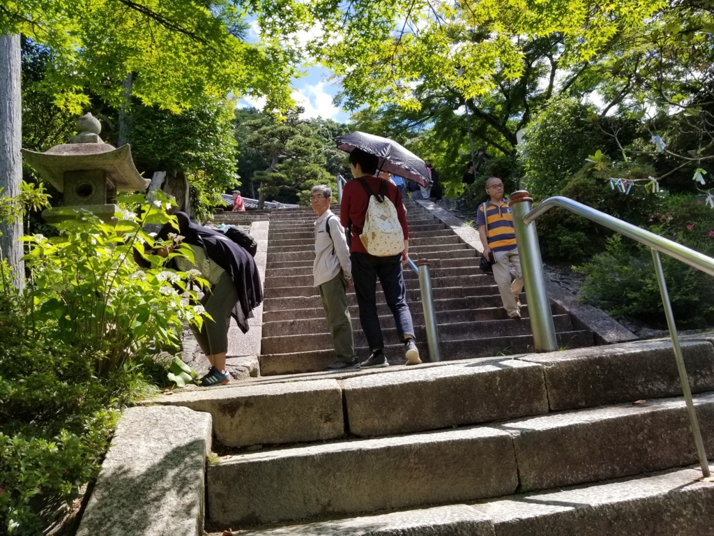 f:id:aoi0730kanon0930:20180617003021j:plain f:id:aoi0730kanon0930:20180617003021j:plain