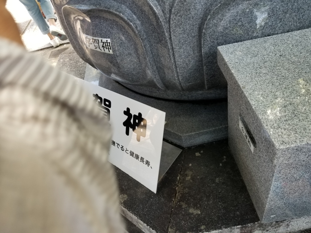 f:id:aoi0730kanon0930:20180617003618j:plain f:id:aoi0730kanon0930:20180617003618j:plain