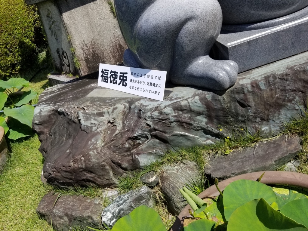 f:id:aoi0730kanon0930:20180617004650j:plain f:id:aoi0730kanon0930:20180617004650j:plain