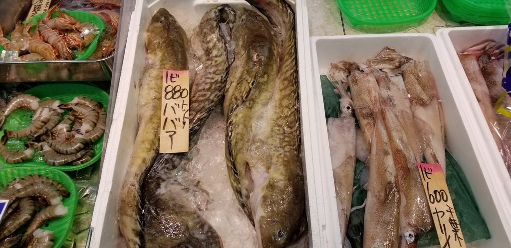 f:id:aoi0730kanon0930:20190217221332j:plain f:id:aoi0730kanon0930:20190217221332j:plain
