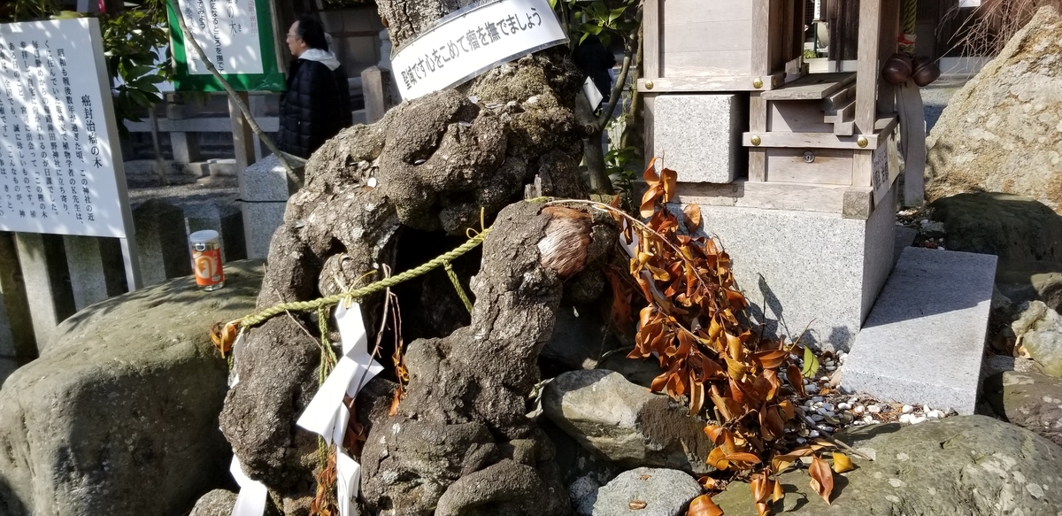 f:id:aoi0730kanon0930:20190326225231j:plain f:id:aoi0730kanon0930:20190326225231j:plain