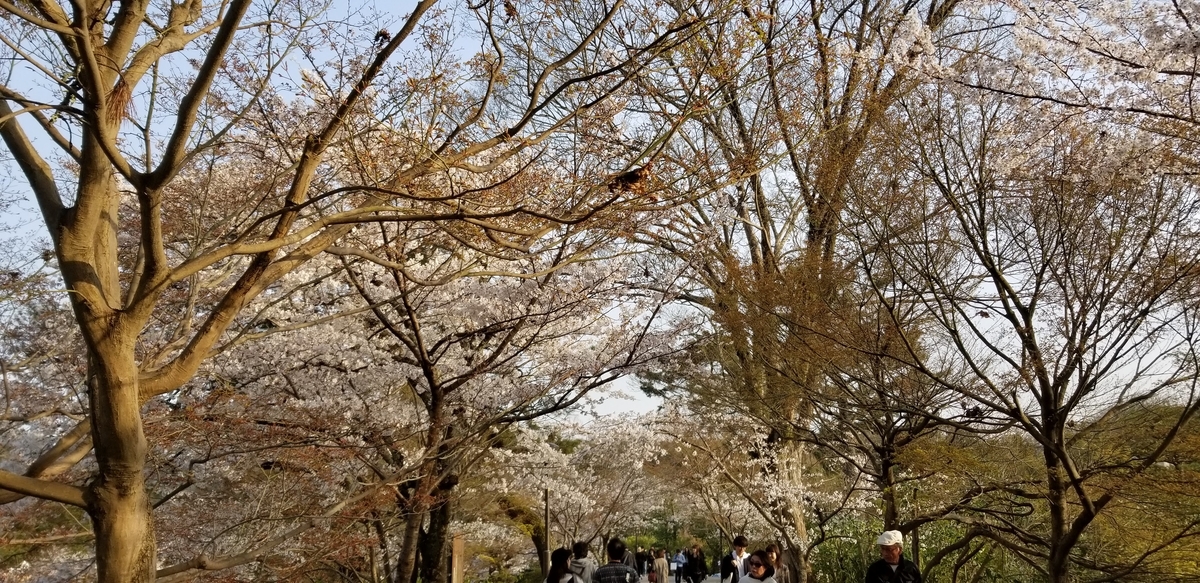 f:id:aoi0730kanon0930:20190406231017j:plain f:id:aoi0730kanon0930:20190406231017j:plain