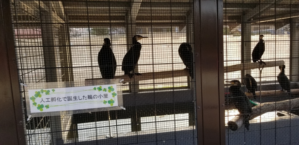 f:id:aoi0730kanon0930:20190406231733j:plain f:id:aoi0730kanon0930:20190406231733j:plain