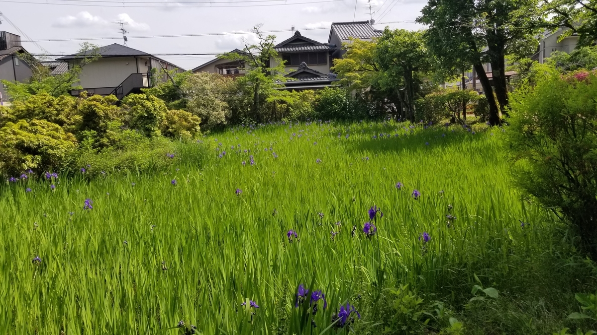 f:id:aoi0730kanon0930:20190516232009j:plain f:id:aoi0730kanon0930:20190516232009j:plain