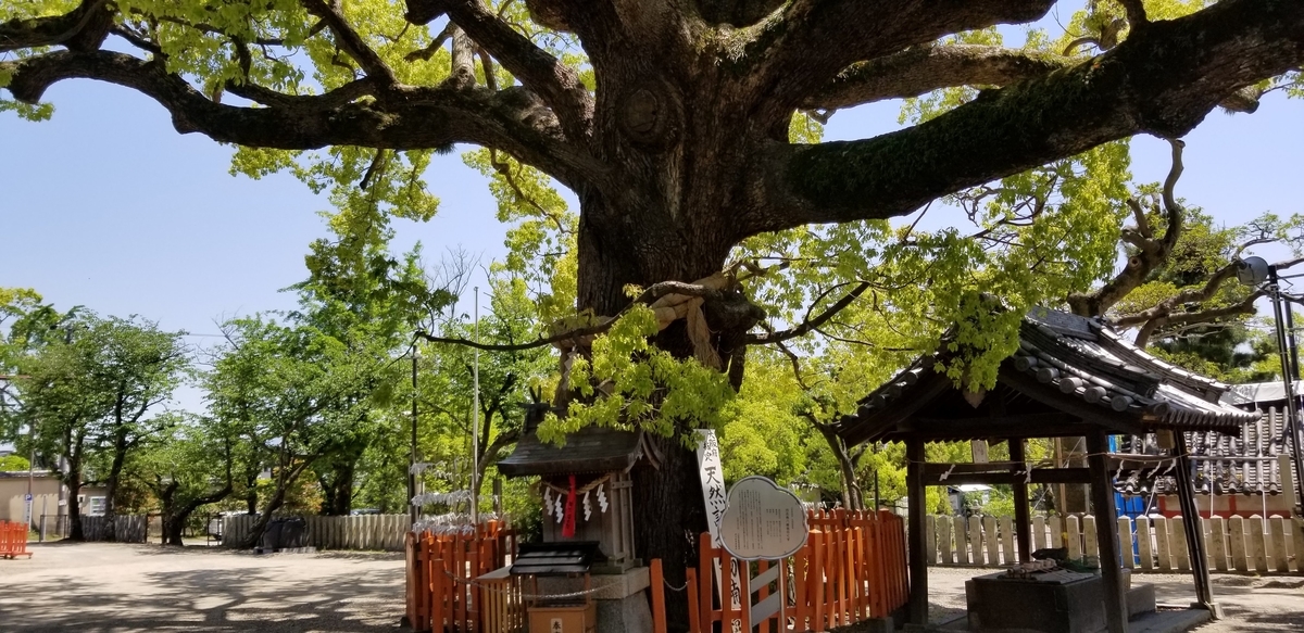 f:id:aoi0730kanon0930:20190601162335j:plain f:id:aoi0730kanon0930:20190601162335j:plain