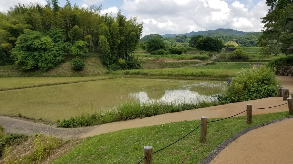 f:id:aoi0730kanon0930:20190622112818j:plain f:id:aoi0730kanon0930:20190622112818j:plain